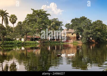 Ländliche indische Landschaft mit Blick auf Lehmhütten und Palmen und Enten, die bei Sonnenuntergang in einem Dorfteich schwimmen. Stockfoto