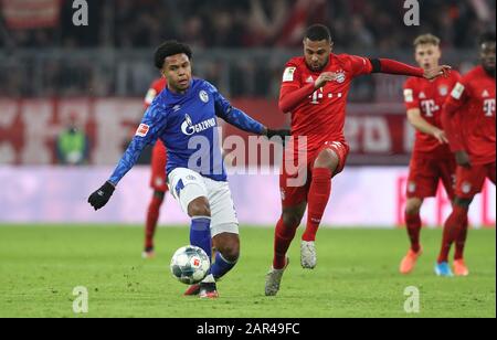 München München München, Deutschland. Januar 2020. Firo: 25.01.2020 Fußball, Fußball: 1. Bundesliga, Saison 2019/2020 FC Bayern München Muenchen - FC Schalke 04 5:0 S04 Weston McKennie, Duelle, Duell, FCB Serge Gnabry, Nutzung weltweit Credit: Dpa / Alamy Live News Stockfoto