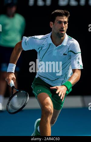 Melbourne, Australien. Januar 2020. Novak Djokovic bei Den Australian Open. Credit: Dave Hewison/Alamy Live News Stockfoto