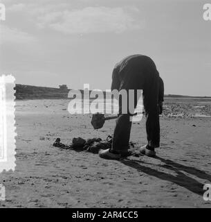 Serie dryval Oosterpolder Datum: 7. März 1957 Schlüsselwörter: Serie Stockfoto