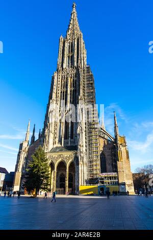 Ulm, 29. Dezember 2019, Vorderansicht des berühmten Domkirche Münster und hoher Kirchturm mit Gerüsten, ein Touristenmagnet Stockfoto