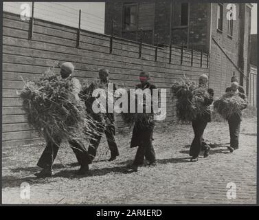 Zusammenarbeit Niederlande. Interneringskamp Levantkade in Amsterdam. Insassen bei der Landung Strohhalm für die Schlafplätze Ort: Niederlande Schlagwörter: Kriege, Krieg Stockfoto