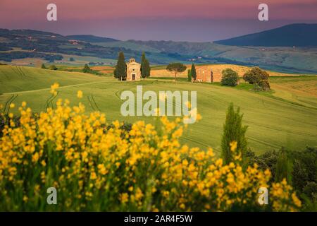 Sommer Toskana Landschaft mit gelben Blumen und Getreidefeldern. Süße Vitaleta-Kapelle auf dem Hügel bei Sonnenuntergang, Pienza, Toskana, Italien, Europa Stockfoto