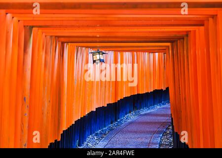 Eingang zur Passage der historischen Tore aus rotem Holz in Torii am buddhistischen Tempel Fushimi Inari Taisha in Kyoto, Japan. Stockfoto