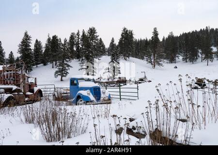 Ein Ford-LKW von 1935, der im Schnee bedeckt ist, auf einer Farm in Beavertail, Montana. Stockfoto