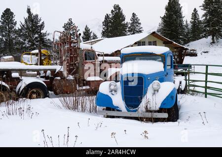 Ein Ford-LKW von 1935, der im Schnee bedeckt ist, auf einer Farm in Beavertail, Montana. Stockfoto