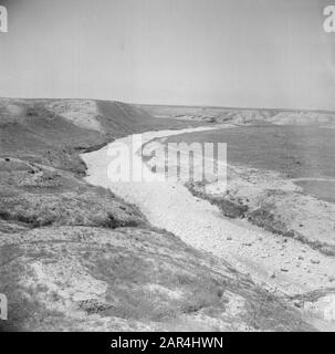 Israel 1948-1949: Negev-Wüste, Landschaft trockenes Flussbett (Wadi) in der Wüste Datum: 1948 Ort: Israel, Negev Schlüsselwörter: Dürre, Wüsten Stockfoto