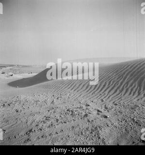 Israel 1948-1949: Negev-Wüste, Landscape Dune-Formation in der Negev-Wüste Datum: 1948 Ort: Israel, Negev-Schlüsselwörter: Dünen, Naturphänomene, Wüsten, Sandverwehungen Stockfoto