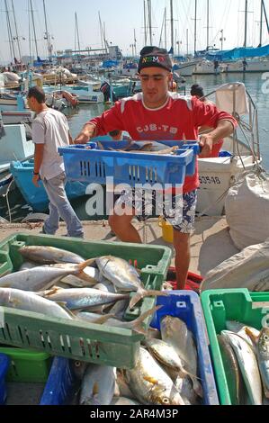 Fischer mit Fischfang in Acco, Israel Stockfoto