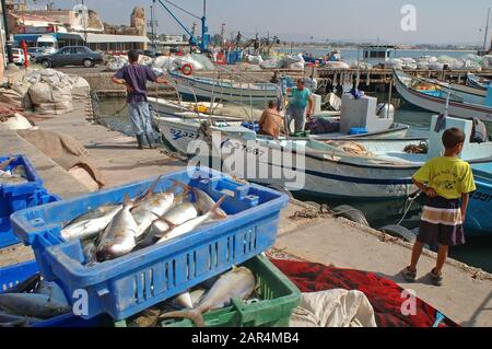 Regelmäßiger Morgen im alten Hafen von Acco, Israel Stockfoto