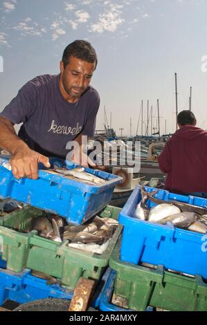 Fischer mit Fischfang in Acco, Israel Stockfoto