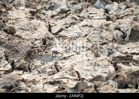 Zerbrochene trockene und parierte Erde, Erde, Land, Boden, Boden, die die Verwüstung der Dürre, des Klimawandels, der globalen Erwärmung als ein Konzept in Afrika in der Natur zeigen Stockfoto