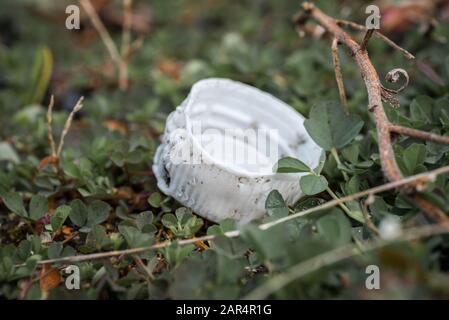 Eine weiße Kunststoff-Flaschenkappe im Gras mit Hund- oder Tierbeißspuren. Stockfoto