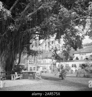 Reisen nach Suriname und die niederländischen Antillen Das Krankenhaus der Landhäuser in Paramaribo Datum: 1947 Ort: Paramaribo, Suriname Schlüsselwörter: Hospitäler Name Der Institution: Country Hospital Stockfoto