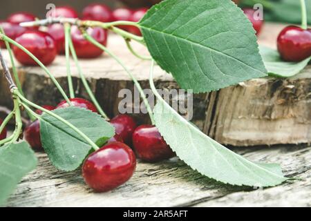 Rote Kirschen und Zweige mit grünen Blättern auf einem Holztisch. Nahaufnahme. Stockfoto