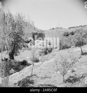 Naher Osten 1950-1955: Jordanien In der Landschaft von Gilead Datum: 1950 Ort: Gilead, Jordan Stichwörter: Bäume, Panorama Stockfoto