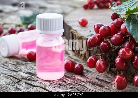 Tinktur mit Viburnum, ätherischen Öl oder einem Elixier mit Viburnumbeeren auf einem Holztisch in der Nähe eines Zweiges aus rotem Viburnum. Heilkräutermedizin. Stockfoto