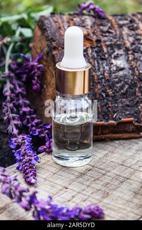 Lavendel ätherisches Öl in einer Glasflasche auf einem Holztisch in der Nähe der Äste des blühenden Lavendels. Tinktur oder ätherisches Öl mit Lavendel. Spa-Kräuter Stockfoto