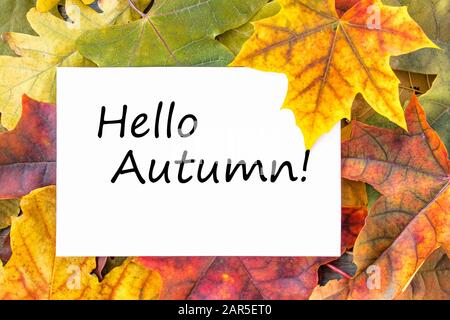 Tag mit den Worten Hallo Herbst auf einem weißen Blatt und bunten Herbstblättern. Hintergrund mit Herbstlaub. Platz für Beschriftung kopieren. Herbstlaub. Stockfoto