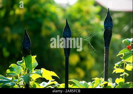 Bruchstück von schwarzem schmiedeeisernem Zaun und Kopfsteinpflaster in der Morgensonne Stockfoto