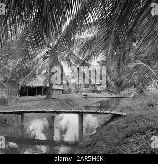 Reisen Sie nach Suriname und zu den niederländischen Antillen Javanese Kampong, wahrscheinlich in Nickerie Datum: 1947 Ort: Nickerie, Suriname Schlüsselwörter: Javanes, Landschaften, Palmen, Häuser Stockfoto