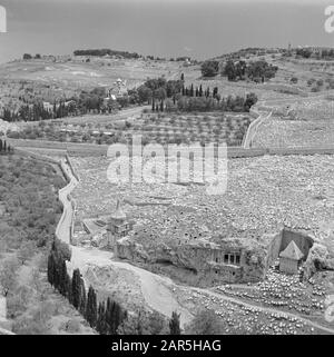 Israel 1948-1949 Jerusalem. Blick auf das Kedrondal und den Ölberg mit dem Weg der Erfassung, Friedhöfe mit Denkmälern zu Sachariah und Bene Hesir und auf halbem Weg auf dem Hügel die russisch-orthodoxe Maria-Magdalena-Kirche Datum: 1948 Ort: Gethsémané, Israel, Jerusalem, Kedrondal, Olives, Russland Stichwörter: Friedhöfe, Christenheit, Hügel, Kirchenbauten, Kuppeln, Landschaften, Denkmäler, Zäune, Täler, Straßen Personenname: Straße der Fesseln Stockfoto