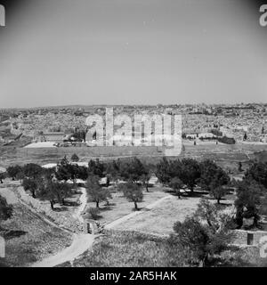 Naher Osten 1950-1955: Jerusalem Jerusalem. Blick vom Ölberg über das Kedrondal auf die Altstadt mit dem Tempelberg in der Mitte des Rock Dome und links der Aksamoskee Anmerkung: Zum Zeitpunkt der Aufnahme war Jerusalem in Jordanien Datum: 1950 Ort: Israel, Jerusalem, Jordan Stichwörter: Gedenkstätten, Islam, Kuppeln, Moscheen, Panoramas, Stadtmauern Stockfoto