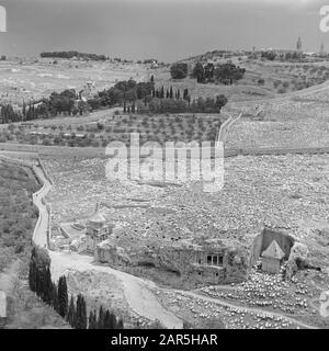 Israel 1948-1949 Jerusalem. Blick auf das Kedrondal und den Ölberg mit dem Weg der Erfassen, Friedhöfe mit den Denkmälern zu Sachariah und Bene Hesir und auf halber Höhe des Hügels die russisch-orthodoxe Maria-Magdalena-Kirche Datum: 1948 Ort: Gethsémané, Israel, Jerusalem, Ölberg, Russland, Kedrondale: Friedhöfe, Bäume, Christenheit, Hügel, Kirchenbauten, Kuppeln, Landschaften, Denkmäler, Zäune, Täler, Straßen Stockfoto