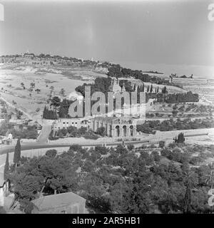 Israel 1948-1949 Jerusalem. Blick auf den Ölberg mit dem Fuß des Hügels der Art der Erfassung, der Getsemanekerk (Kirche aller Nationen) und auf halber Höhe des Hügels die russisch-orthodoxe Maria-Magdalena-Kirche Datum: 1948 Ort: Gethsémané, Israel, Jerusalem, Kedrondal, Olives, Russland Stichwörter: Bäume, Christenheit, Hügel, Kirchenbauten, Kuppeln, Landschaften, Täler, Straßen Stockfoto