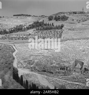 Israel 1948-1949 Jerusalem. Blick auf das Kedrondal und den Ölberg mit dem Weg der Erfassung, Friedhöfe mit Denkmälern zu Sachariah und Bene Hesir und auf halbem Weg zum Hügel die russisch-orthodoxe Maria-Magdalena-Kirche Datum: 1948 Ort: Gethsémané, Israel, Jerusalem, Kedrondal, Olives, Russland, Straße der Erfassungen-Schlüsselwörter: Friedhöfe, Bäume, Christenheit, Hügel, Kirchenbauten, Kuppeln, Landschaften, Denkmäler, Zäune, Straßen Stockfoto