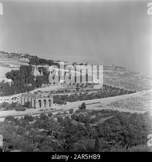 Israel 1948-1949 Jerusalem. Blick auf den Ölberg mit unterhalb der Gethsemane-Kirche (Kirche Aller Nationen) und dahinter die russisch-orthodoxe Maria-Magdelena-Kirche Datum: 1948 Ort: Gethsémané, Israel, Jerusalem, Ölberg, Russland Stichwörter: Bäume, Christenheit, Hügel, Kirchenbauten, Landschaften, Täler persönlicher Name: Maria Magdalena Stockfoto