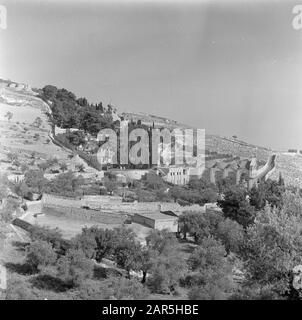 Israel 1948-1949 Jerusalem. Blick auf den Ölberg mit unterhalb der Gethsemane-Kirche (Kirche Aller Nationen) und dahinter die russisch-orthodoxe Maria-Magdalena-Kirche Datum: 1948 Ort: Gethsémané, Israel, Jerusalem, Ölberg, Russland Stichwörter: Bäume, Christenheit, Hügel, Kirchenbauten, Kuppeln, Landschaften, Täler Stockfoto