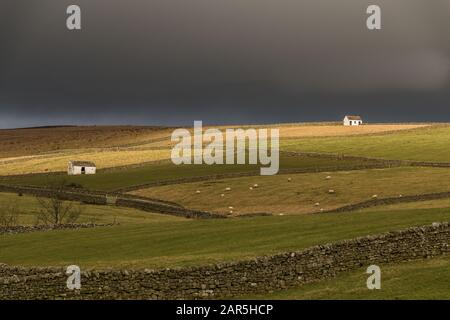 Ein Wolkenbruch sorgt für eine kurze Pleite von starkem Wintersonnenschein und dramatischem Licht auf diesen weißgetünchten Scheunen in Bowlees, Teesdale Stockfoto