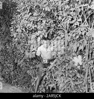 Niederländische Antillen und Suriname zum Zeitpunkt des königlichen Besuchs von Königin Juliana und Prinz Bernhard im Jahre 1955 Junge mit Kamera im Gebüsch Datum: 1. Oktober 1955 Ort: Paramaribo, Suriname Schlüsselwörter: Fotografieren Stockfoto