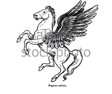 Pegasus, klassische Illustration aus dem Jahr 1900 Stockfoto