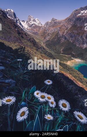 Wunderschöne Landschaft des Lake Mackenzie und der umliegenden Berge auf dem Routeburn Track. Stockfoto