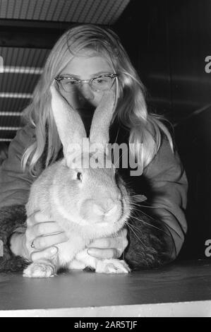 Kinder mit ihren Tieren auf der Kleintierausstellung Savoa im RAI Datum: 22. November 1972 Schlagwörter: Tier, Kinder Name Der Einrichtung: Savoa Stockfoto