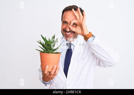 Wissenschaftler des mittleren Alters, der Kaktuspflanzenpot hält, der über isoliertem weißem Hintergrund steht, mit einem fröhlichen Gesicht lächelnd, das mit Hand auf Augen-Looki ein gutes Zeichen tut Stockfoto