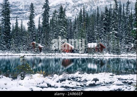 Holzhütte in Kiefernwald mit starker Schneebesinnung auf dem Lake O'hara im Yoho-Nationalpark, Kanada Stockfoto