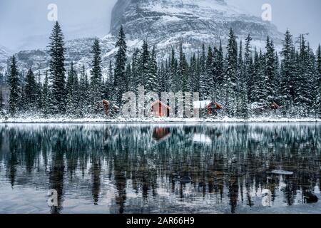 Holzhütte in Kiefernwald mit starker Schneebesinnung auf dem Lake O'hara im Yoho-Nationalpark, Kanada Stockfoto