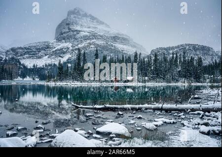 Holzhütte in Kiefernwald mit starker Schneebesinnung auf dem Lake O'hara im Yoho-Nationalpark, Kanada Stockfoto