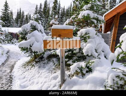 Schnee bedeckt auf leerem Holzschild auf der Hütte im Winter Stockfoto