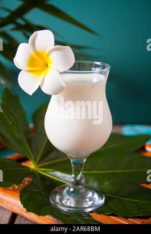 Traditionelle karibische exotische tropische Cocktailgetränke pina Colada in einer Brille mit Plumeria frangipani Blume, Palmblatt im Hintergrund Stockfoto