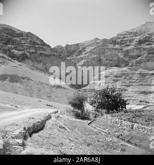Naher Osten 1950-1955: Landschaft Jordanien in der Nähe des Jericho.Wasserkanals zur Bewässerung im Vordergrund. Im Hintergrund das Wadi el Celt mit dem St. Georgius Kloster, mit kleinen Höhlen im Felswand Anmerkung: Zum Zeitpunkt der Aufnahme war dieser Ort in Jordanien Datum: 1950 Ort: Palästina, Jericho, Jordanien Schlüsselwörter: Höhlen, Bewässerungskanäle, Kloster, Landschaften persönlicher Name: Mount Temptation Stockfoto