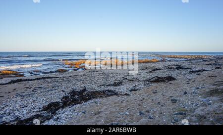 Die spektakulären roten Felsenbuchten in tasmanien, australien. Stockfoto
