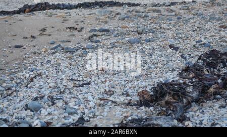 Die spektakulären roten Felsenbuchten in tasmanien, australien. Stockfoto