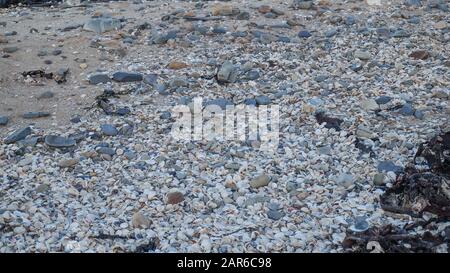 Die spektakulären roten Felsenbuchten in tasmanien, australien. Stockfoto