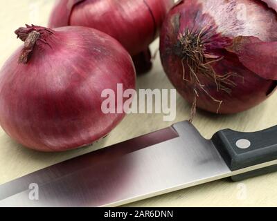 Nahaufnahme der roten Zwiebeln mit Küchenmesser auf Holzhackbrett Stockfoto