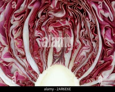 Textur von rotem Radicchio Salat, organischer natürlicher Hintergrund Stockfoto