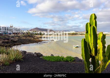 Die Küste von Costa Teguise auf der Kanareninsel Lanzarote, Spanien mit Kaktus im Vordergrund und Costa Teguise im Hintergrund Stockfoto